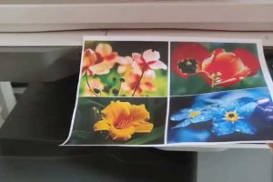 夏普4081复印机使用教程，彩色复印方法 #复印机使用教程
